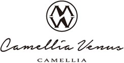Camellia venus